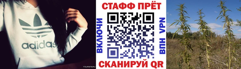 Где купить Аша КОКАИН Alpha PVP Мефедрон ГАШИШ АМФ блэк спрут ONION Бошки Шишки