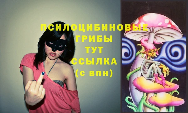 герыч Новодвинск