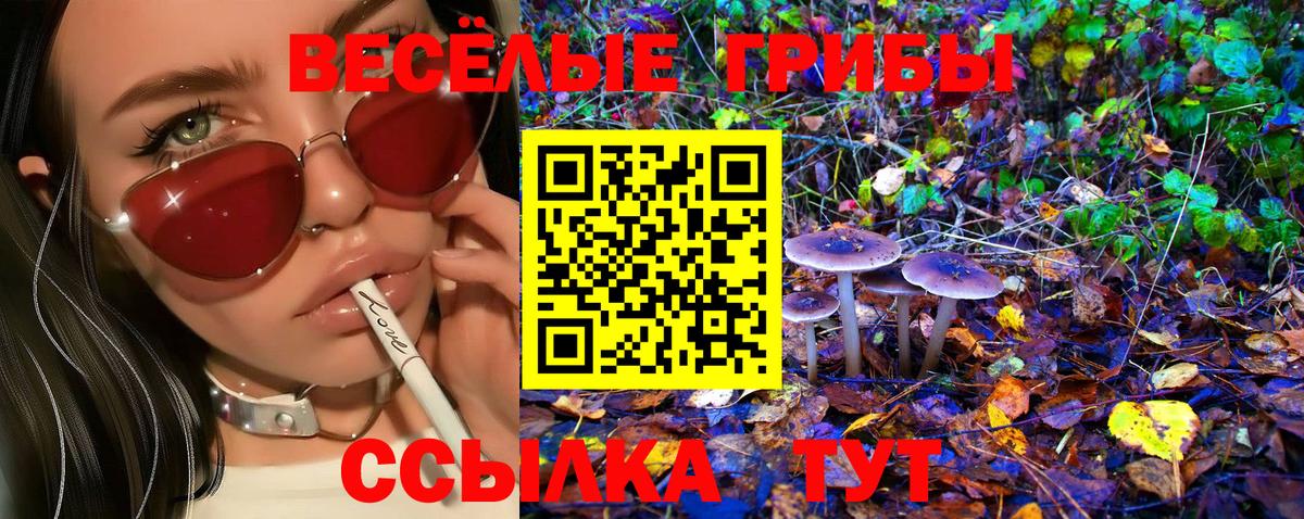Галлюциногенные грибы прущие грибы  Вход с VPN  Галлюциногенные грибы Psilocybe  цена   Аша 