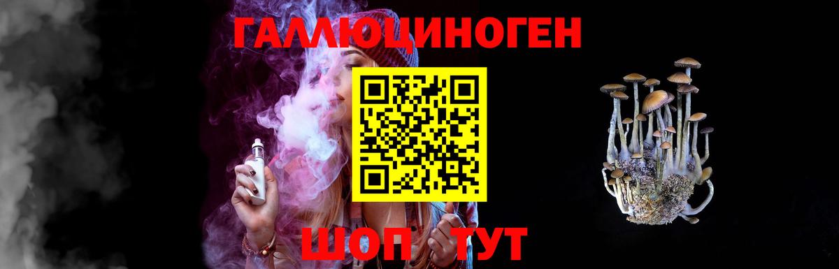 Псилоцибиновые грибы Psilocybe Аша